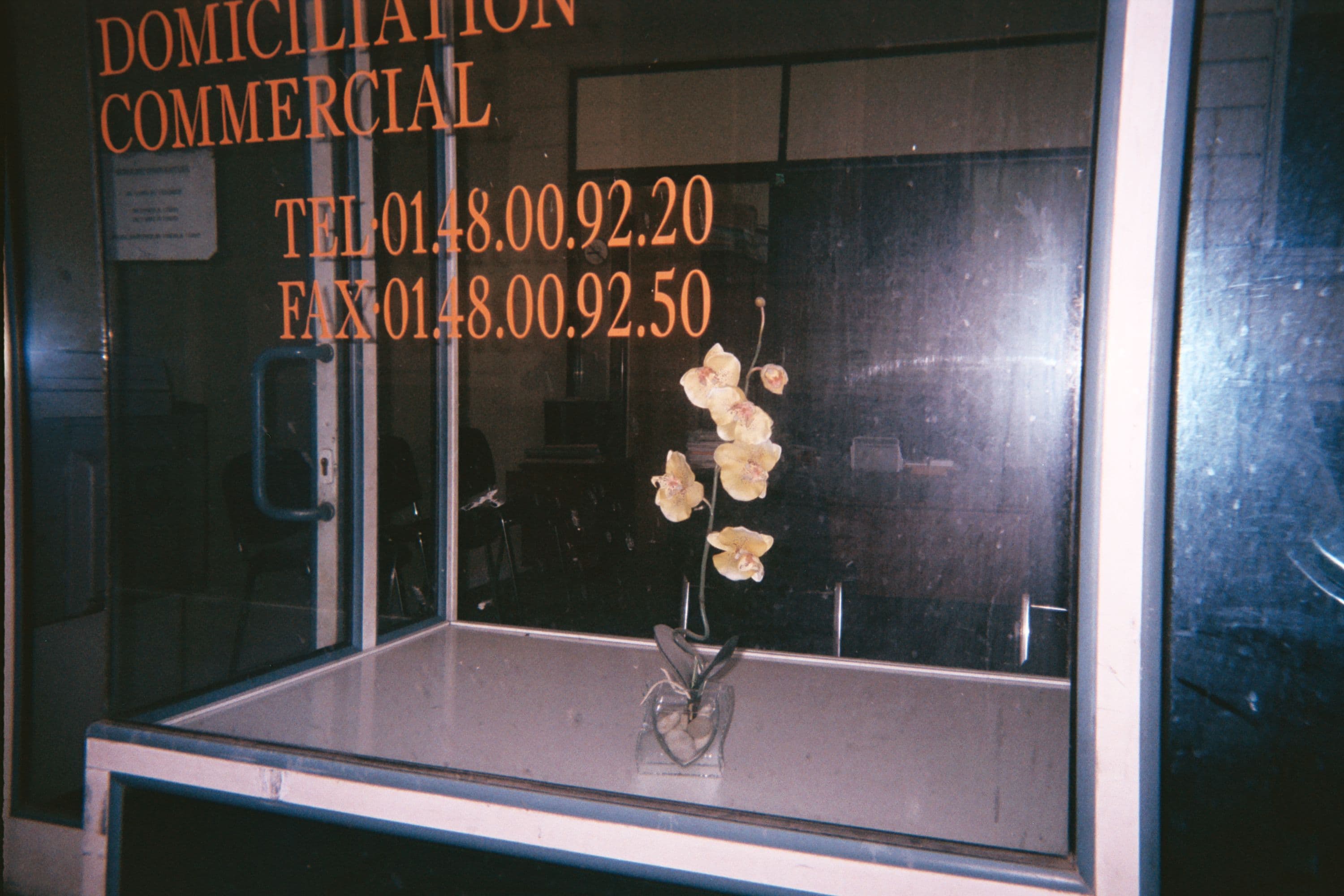 AA_008_2_STREET_FLOWER_cc5c129ef9.jpg