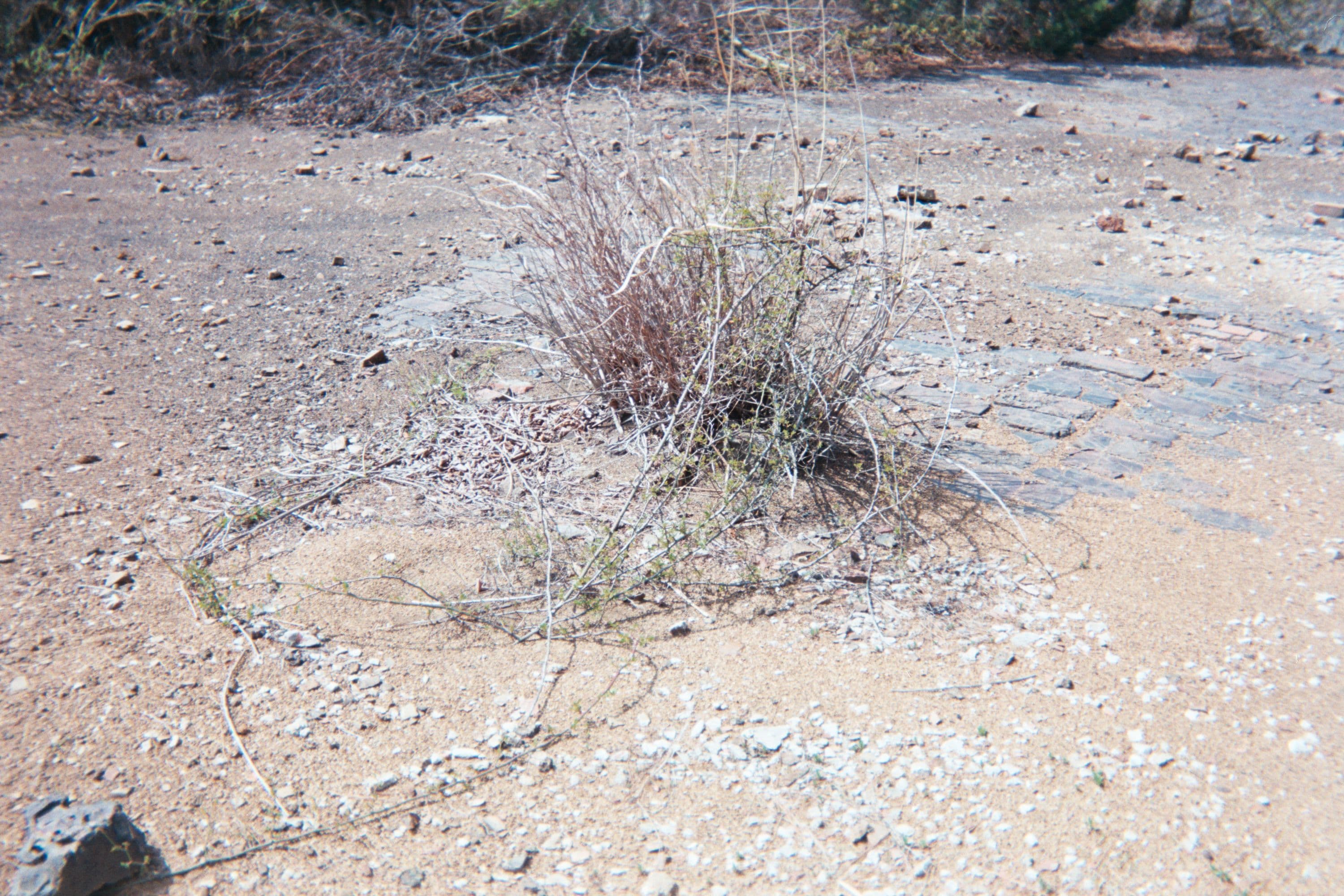 AA015a.jpg