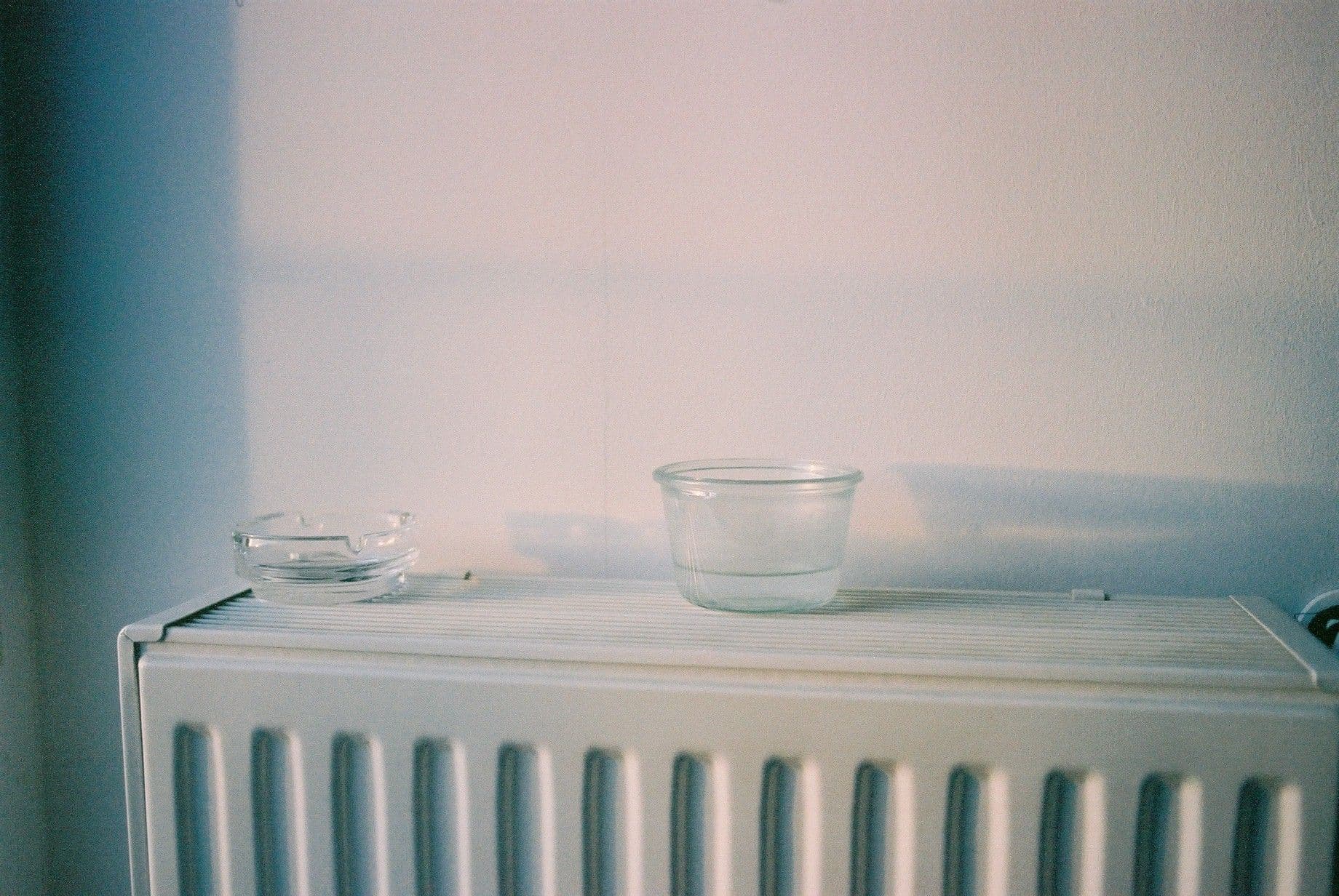 F1000007.JPG